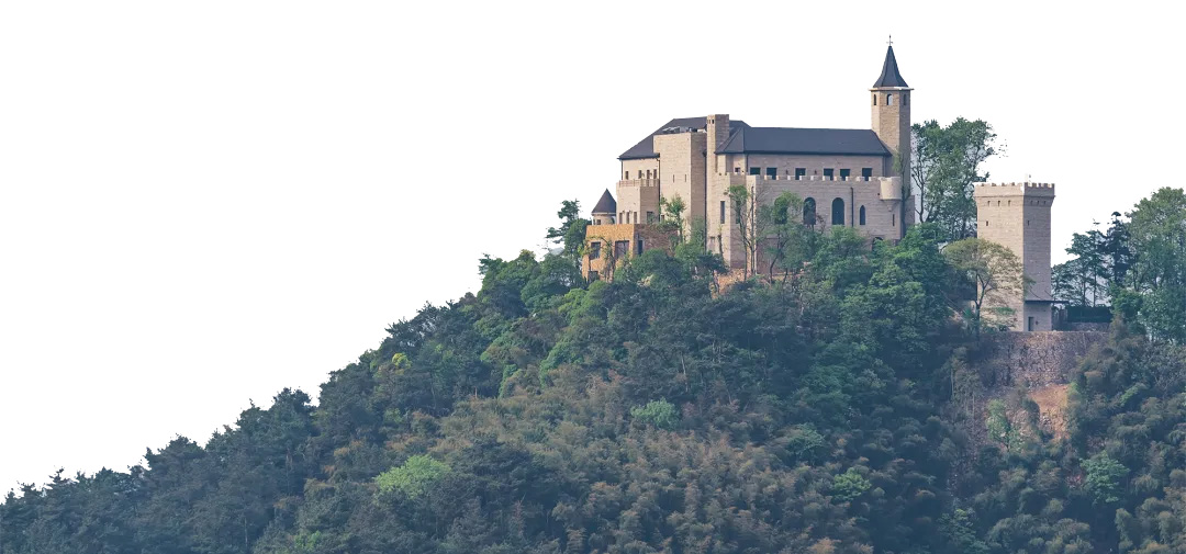 未标题-12.jpg 未标题-12.jpg